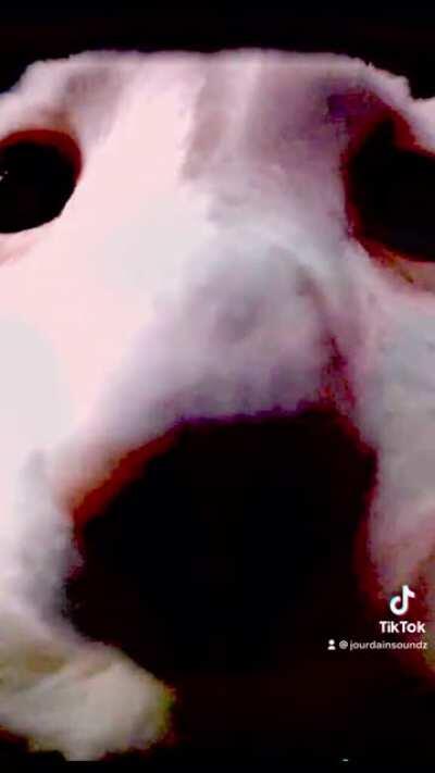 I don’t want to suffer anymore