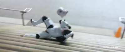 When you got your strength points at max level!