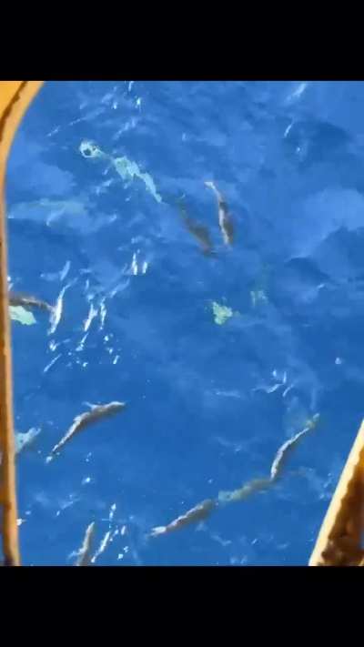 This toilet open to the ocean below