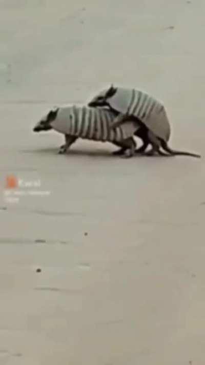 Aquele exame de rotina.