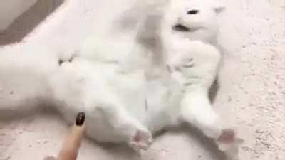 What the hell, human?!