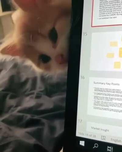 Incoming massive repair bill