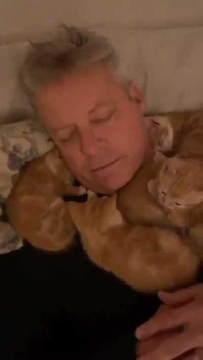 Catscarf - +1 cold resistance +10 cuteness, -100 motion