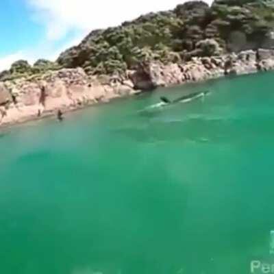 I just found this post and new it belonged here (repost)