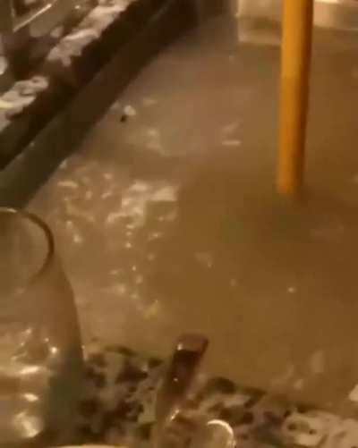 vamo desentupir essa pia hj