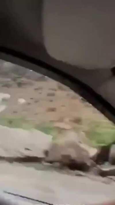 Passing thru under a mud falls, it's definitely safe.