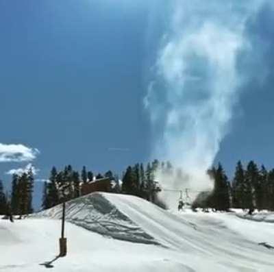 The Rare Snow Devil...