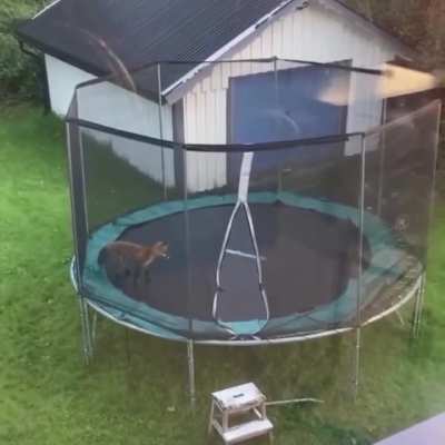 Never ending game.. 😊