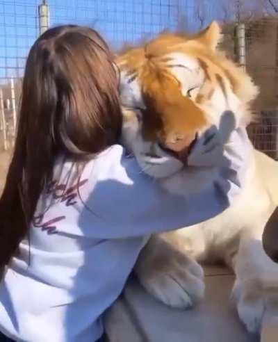 Big scritches (not oc)