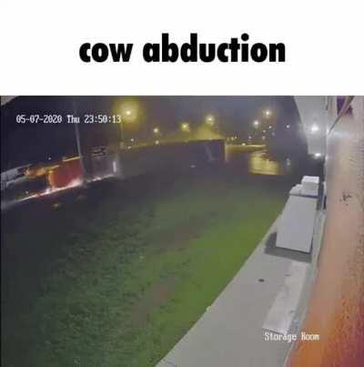 only in bosnia 🇧🇦 🇧🇦 🇧🇦