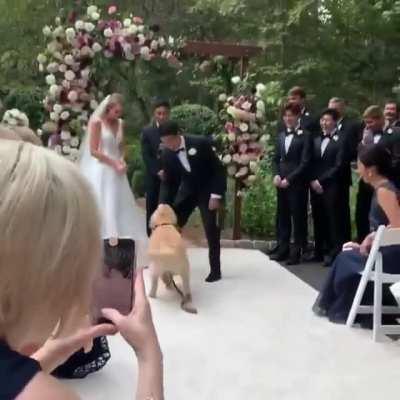 The flower girl makes her entrance