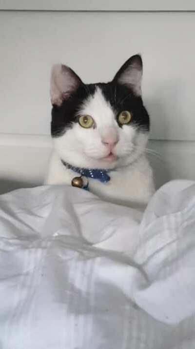 Jack screams for breakfast everyday at 8 sharp