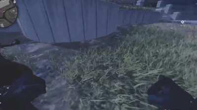 Video of Serkets Kiss Outbreak