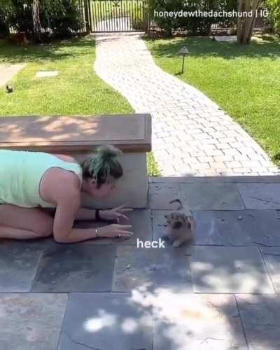 Danger lurks behind the corner