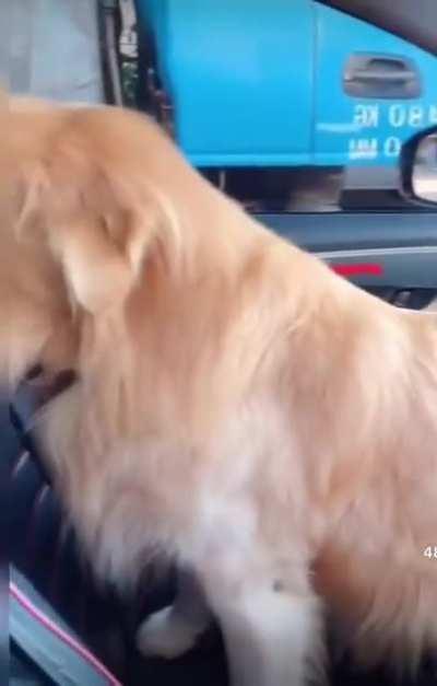 Could you be Angry ?