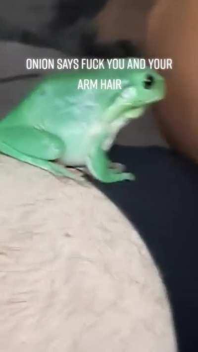 Cu Hanh once again awakened and chose violence 🐸