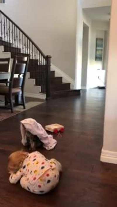 sAdIsTiC tOdDlEr sUfFoCaTeS cAt