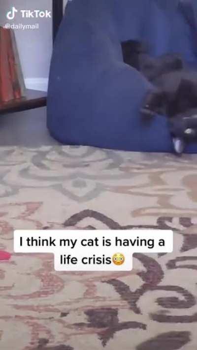 Чёрные кошки чудесные, потому что ты можешь взглянуть в пустоту...