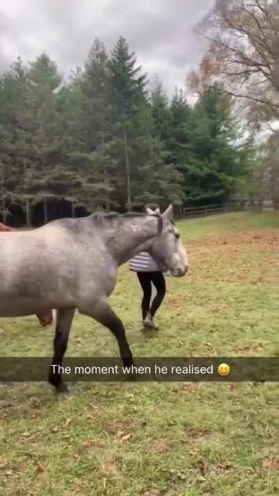 Wireless Connection Established 