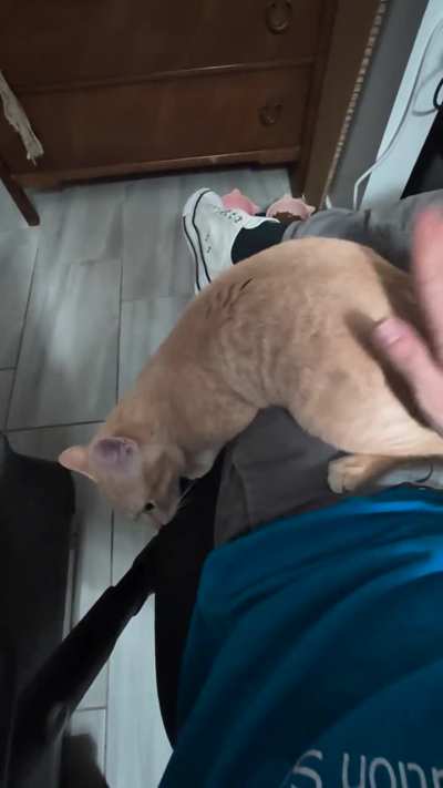 I made the mistake of trying bongos 1 time, now I'm the slap slave.