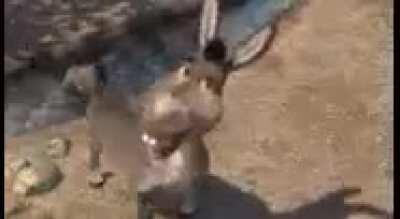 tomate un descanso joven viajero