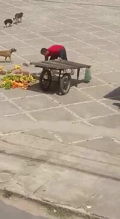 Se você não sentir indignação, você não é humano - CEARÁ-BRASIL