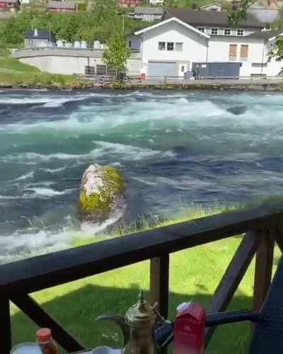 Breakfast & a view in Norway