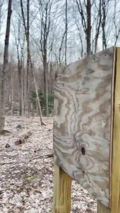 Where are we going dad?