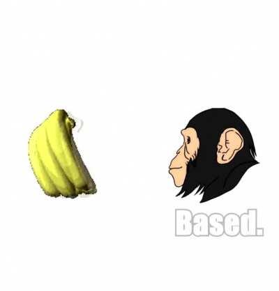 POV: You just told me to read.