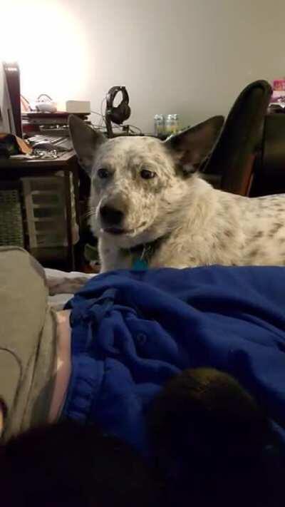 Don't worry, she's just a drama queen.