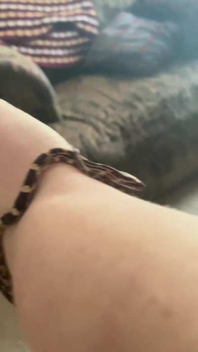New bracelet!