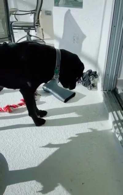 Playing with them whilst he still has them