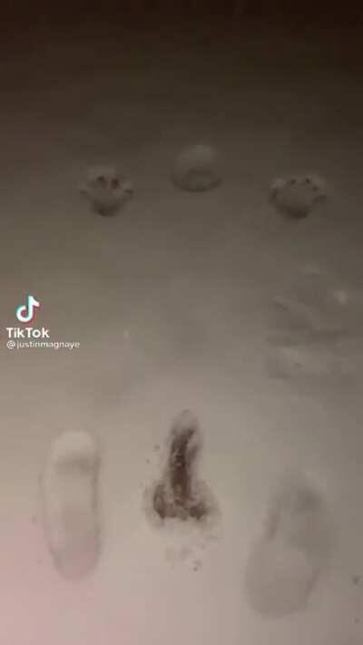 It’s the misogyny for me