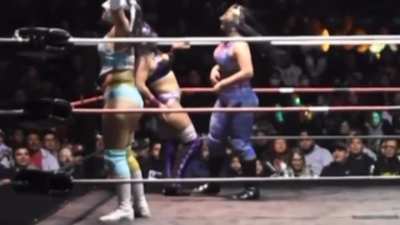 Sexy Star kicked in the cunt by La Hiedra