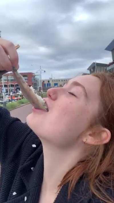 The Dutchiest video ever