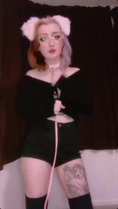 going to the vet to have it put down