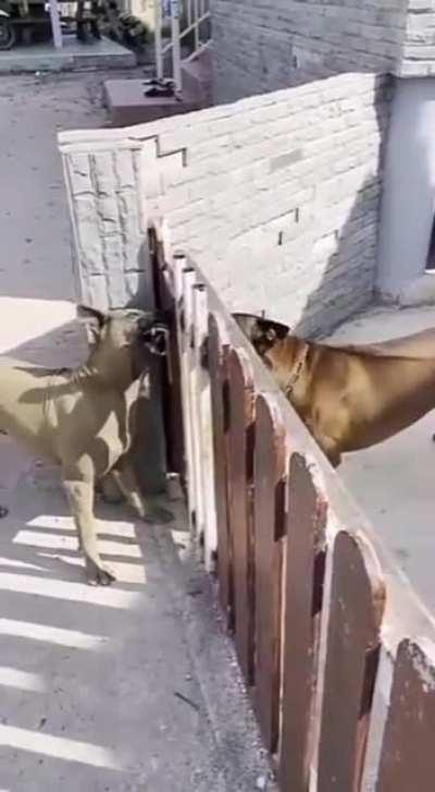 What's going on here?