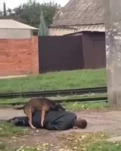 This dog is taking care of.... Wait wait a minute [nsfw]