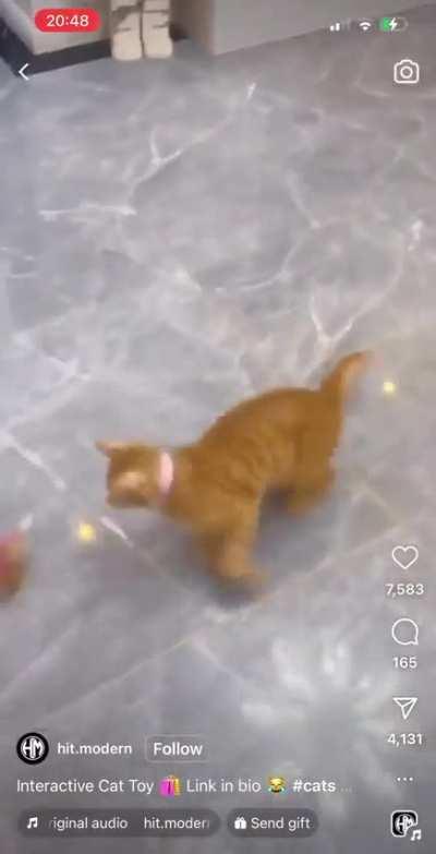 The chaos I imagine this would cause