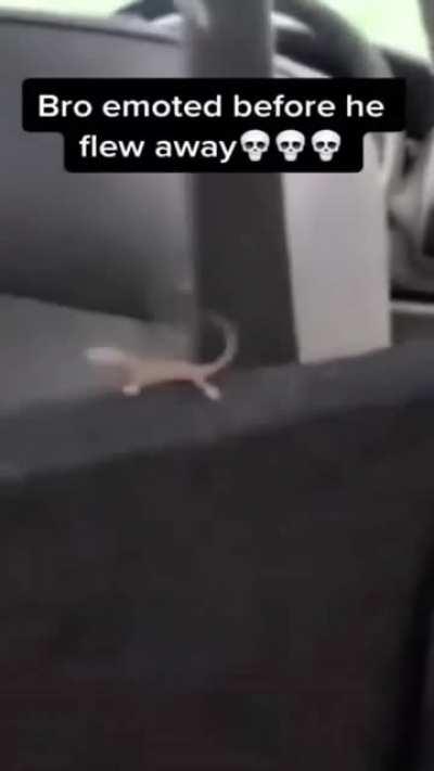 Bro emoted in his last moments