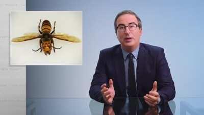 The World Health Organization: Last Week Tonight with John Oliver (HBO)