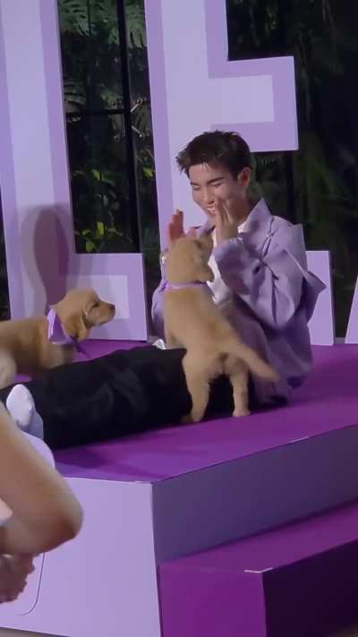 Fourth attacked by puppies at an event today