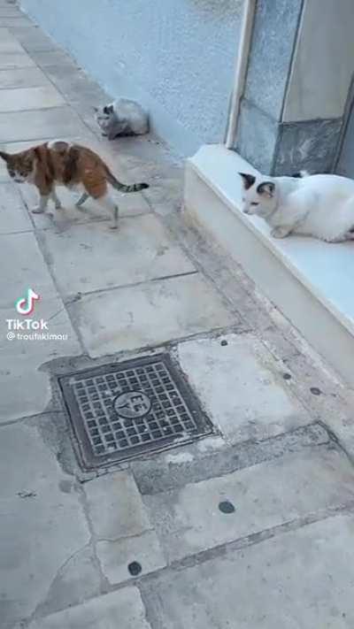 Whew you going homie? You lost?