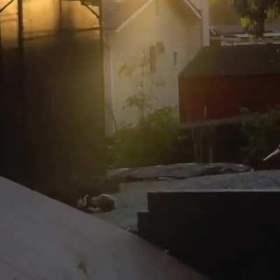 Professional Skater Lizzie Armanto's Worst Slam