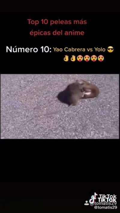 LA MEJOR PELEA DEL MANGA😀👍