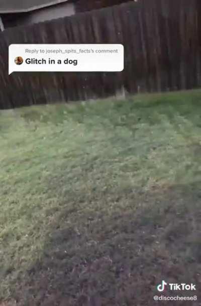 I’m not even high and I was still amazed