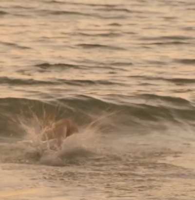 Polly Brindle nude - Selling The OC