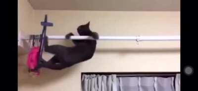 Wha-wha-wha-whattttts going on hereee