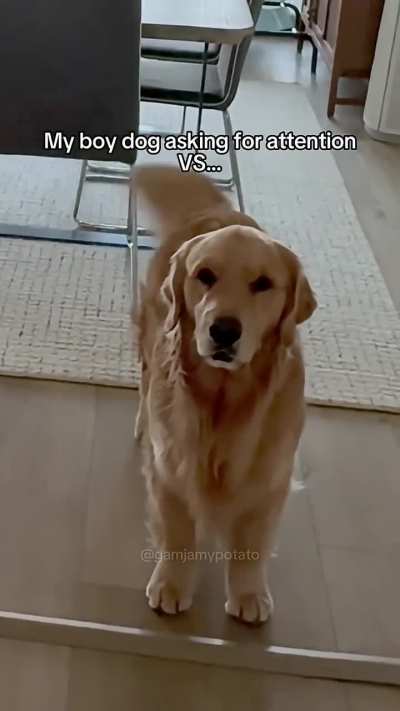 She’s full with energy