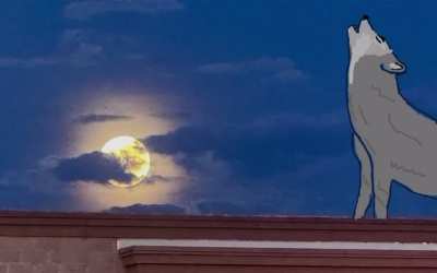 The urge to do this during a full moon